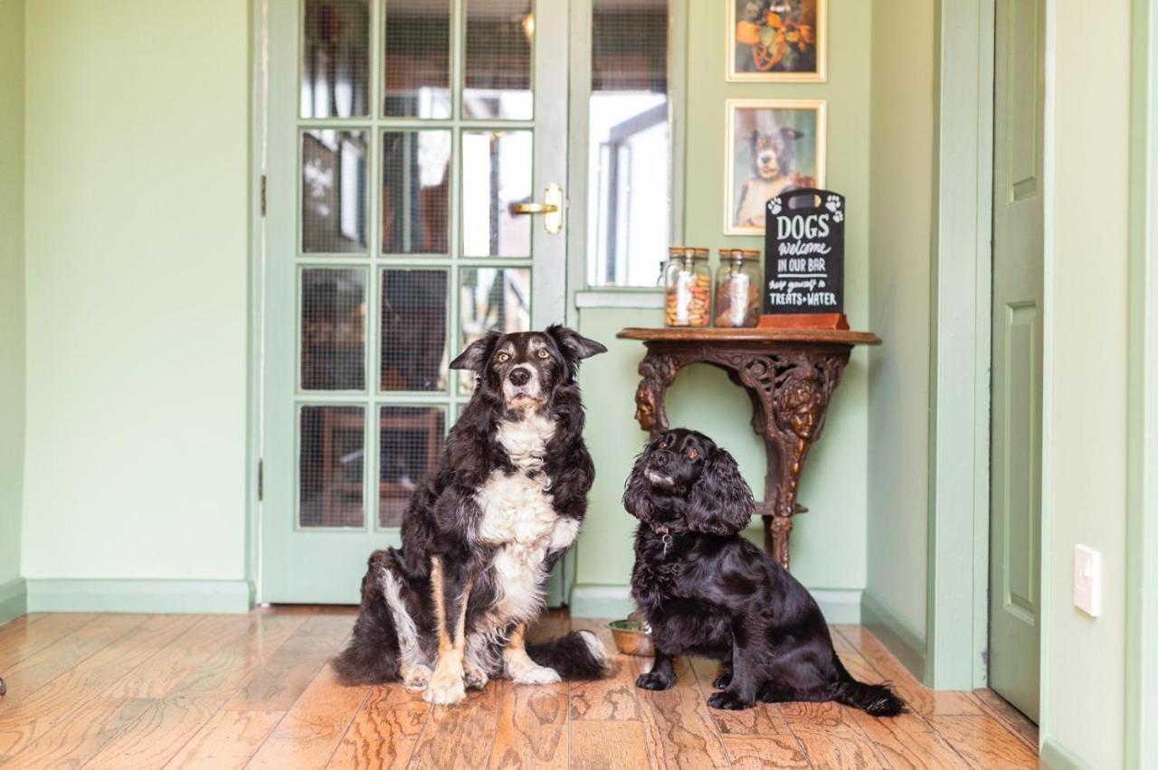 The Fromeway Bed & Breakfast Radstock Dış mekan fotoğraf
